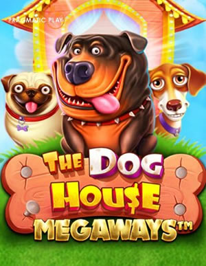 Cá Vàng Đại Cường