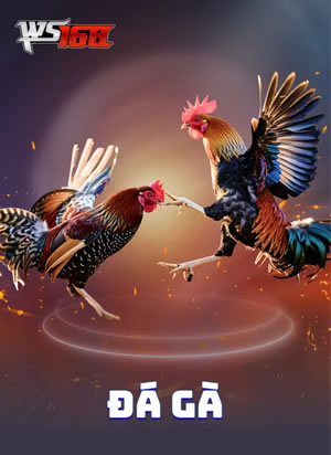 Cược Bóng Bàn Tinh Anh